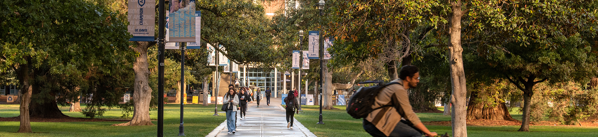 UC Davis campus quad